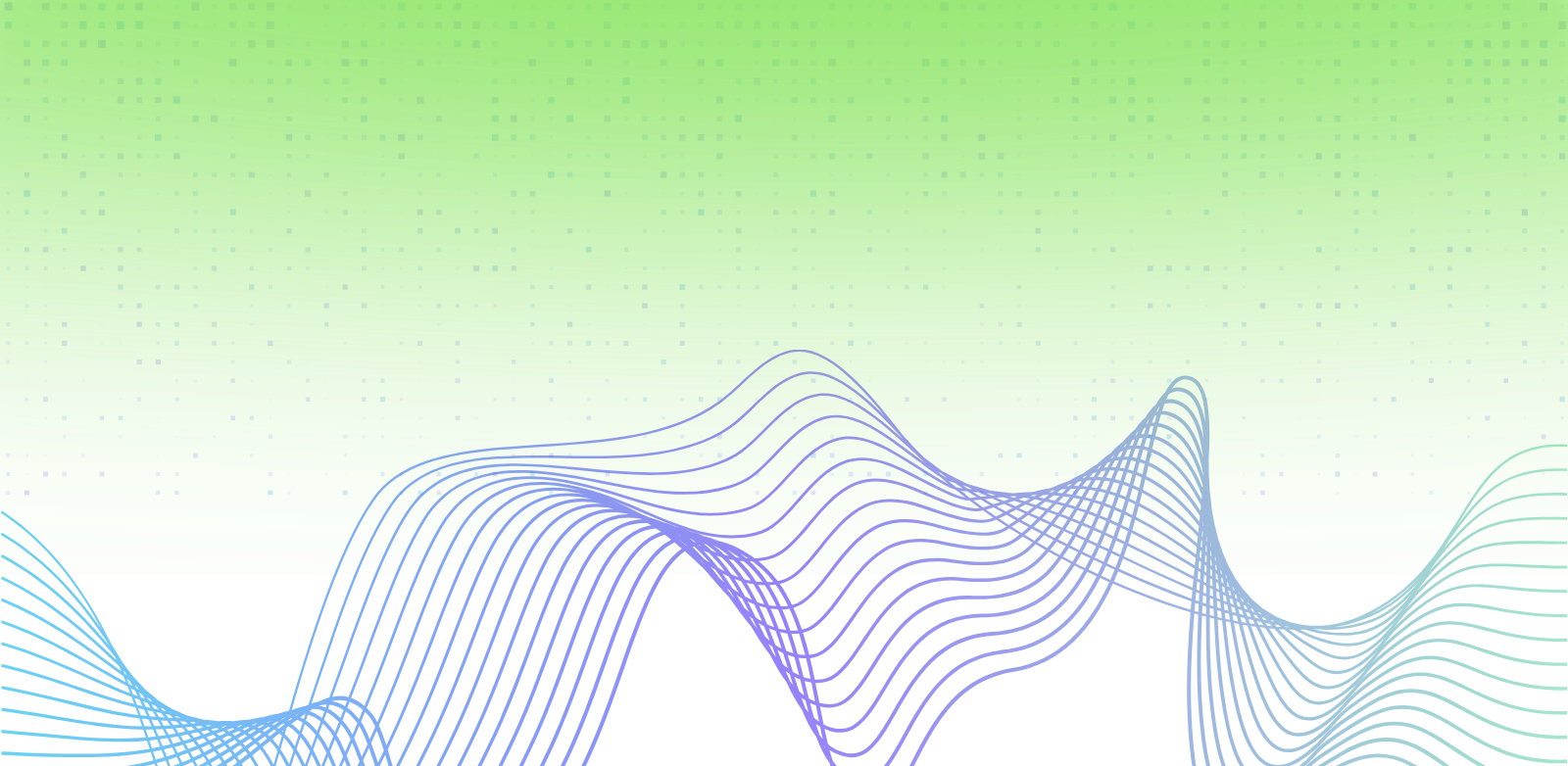 banner image3
